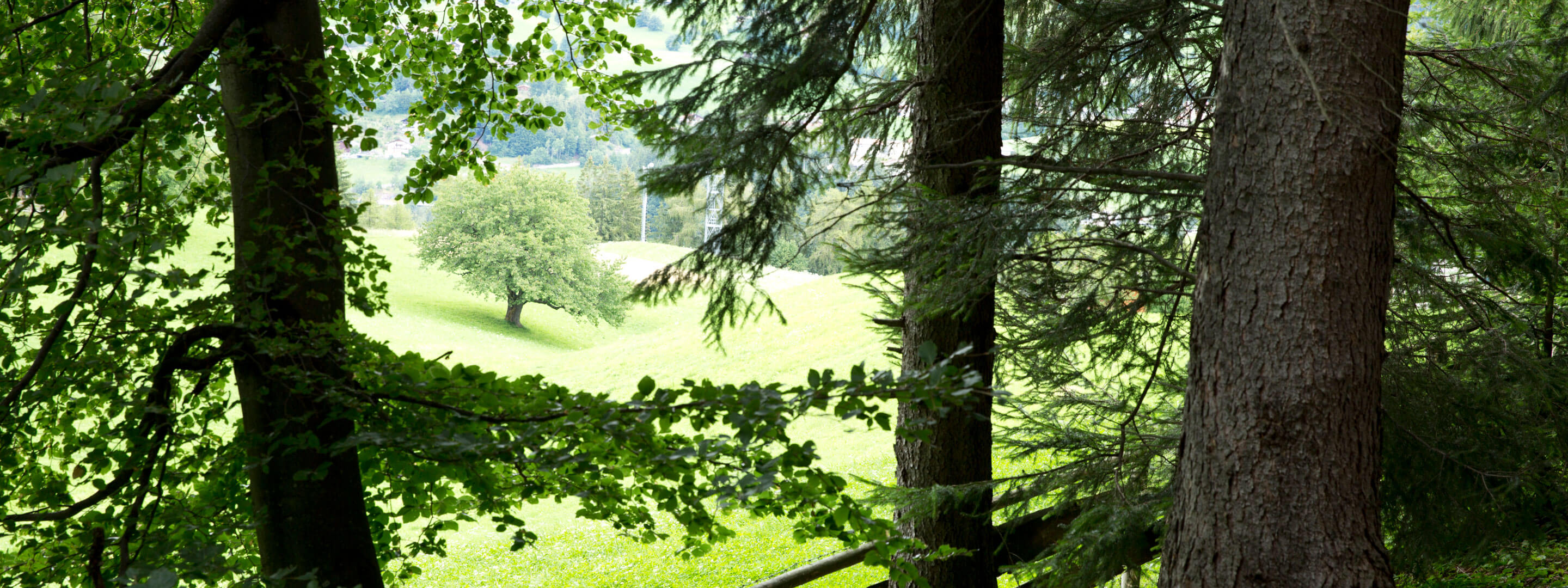 ideale per escursioni nella natura 